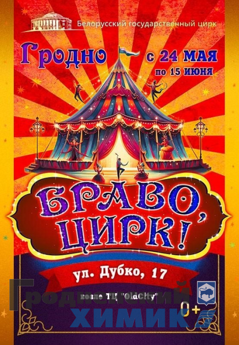 Белгосцирк с представлением на улице Дубко в городе Гродно.jpg